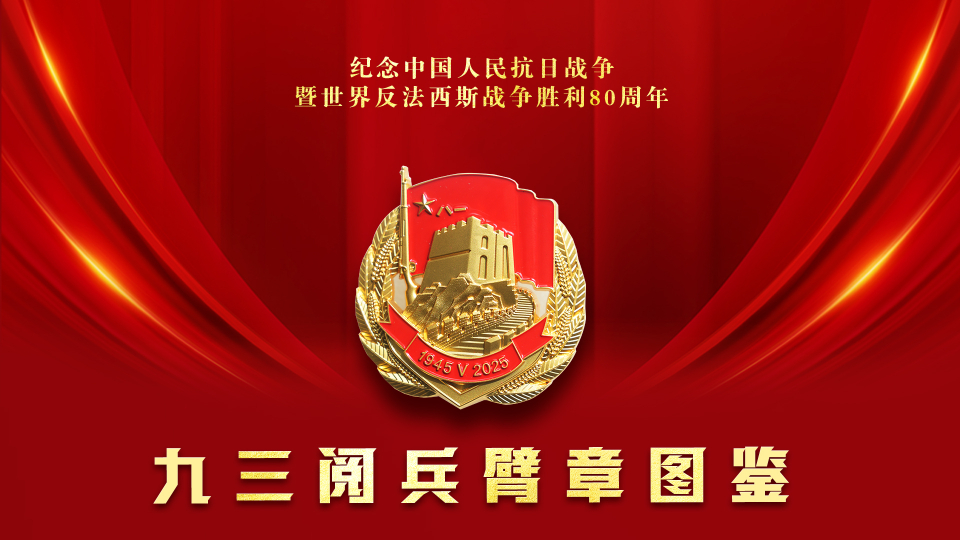 請收藏！九三閱兵臂章圖鑒