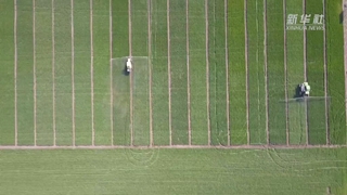 如何讓假劣化肥不再坑農害農？