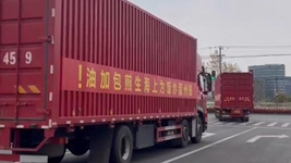 那只&ldquo;跳進(jìn)&rdquo;愛(ài)心蔬菜包的手機咋樣啦？請聽(tīng)刷屏&ldquo;奇遇&rdquo;后續&hellip;&hellip;