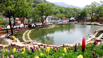 休閑、教育、養老&hellip;&hellip;&ldquo;三農&rdquo;變化之農業(yè)新功能