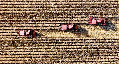 非凡十年｜吉林：加快推動(dòng)全面振興、全方位振興