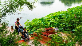 告別大拆大建，老城煥發(fā)新生&mdash;&mdash;北京老城正在發(fā)生的變遷