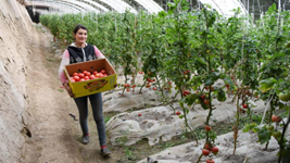 非凡十年｜新疆：新時(shí)代新征程上奮力建設美好新疆