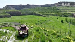 河北武安:采石場(chǎng)轉型農業(yè)示范園