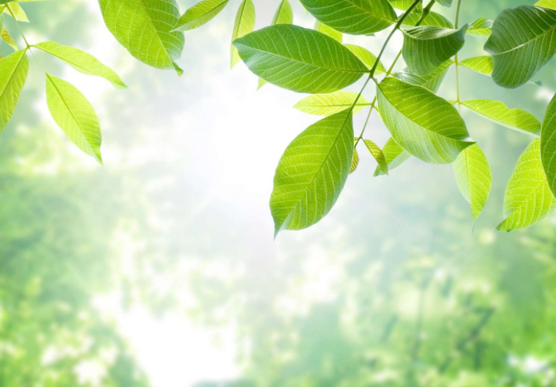 “守護心‘晴’——全民心理健康服務(wù)行動(dòng)”落地甘肅慶陽(yáng)