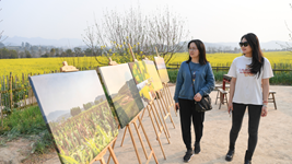 重慶市廣陽(yáng)島打造&ldquo;生態(tài)大課堂&rdquo;觀(guān)察