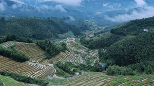 非凡十年|江西:描繪新時(shí)代改革發(fā)展新畫(huà)卷