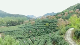 萬(wàn)象&ldquo;耕&rdquo;新！碼住人間四月天