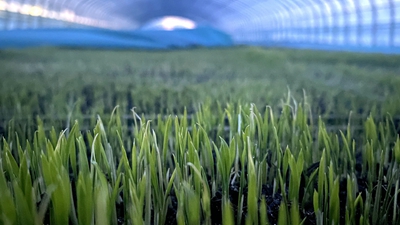 端牢&ldquo;中國飯碗&rdquo;，&ldquo;北大倉&rdquo;想這么干