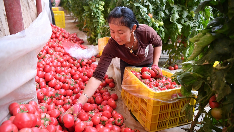 春天里，我們一起譜寫(xiě)振興新歌