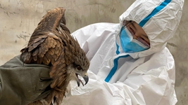 &ldquo;給動(dòng)物一個(gè)溫暖的家，用愛(ài)照亮前行的路&rdquo;