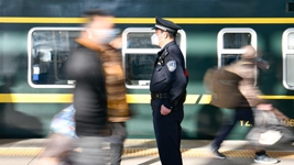 黨的十九大以來(lái)公安工作和公安隊伍建設紀實(shí)