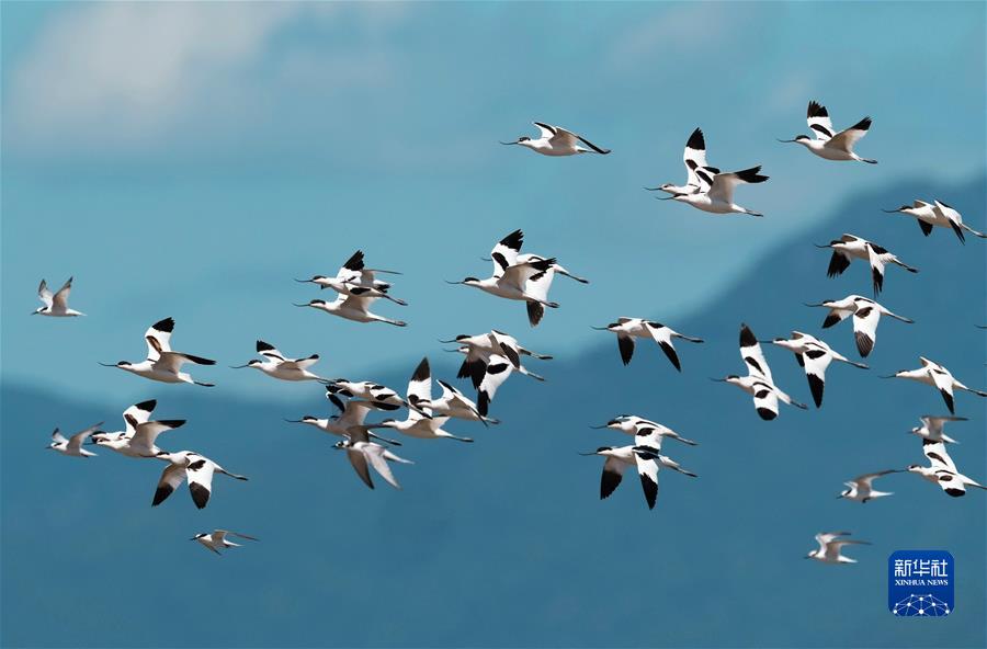 (江河奔騰看中國)(8)綠色閩江 清新福建