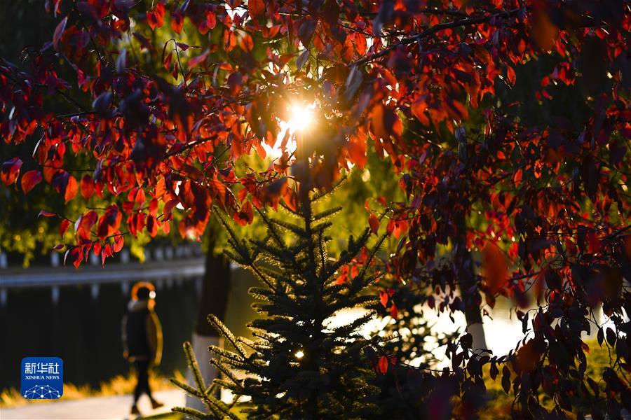 （鏡觀(guān)中國&middot;新華社國內新聞?wù)掌恢芫x）（12）長(cháng)春秋景如畫(huà)