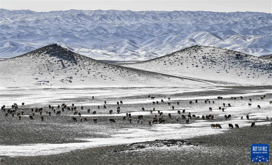 (鏡觀(guān)中國·新華社國內新聞?wù)掌恢芫x)(3)深山牧歌新聲