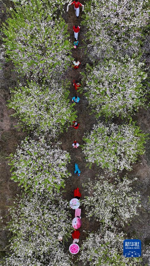 #（社會(huì )）（3）擁抱春天 樂(lè )享春光