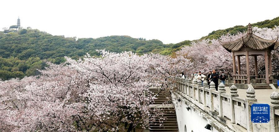 #（社會(huì )）（6）擁抱春天 樂(lè )享春光