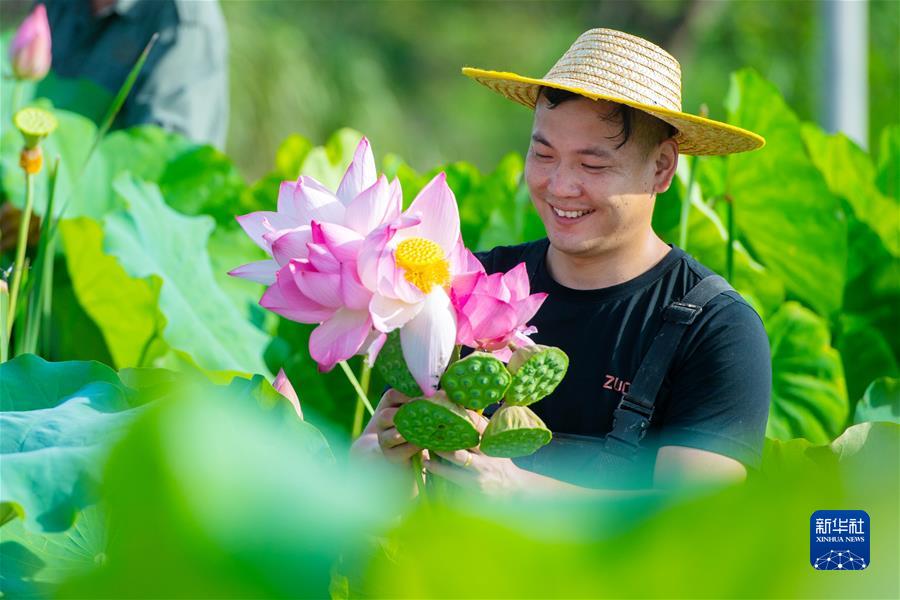 #（經(jīng)濟）（4）小暑農忙