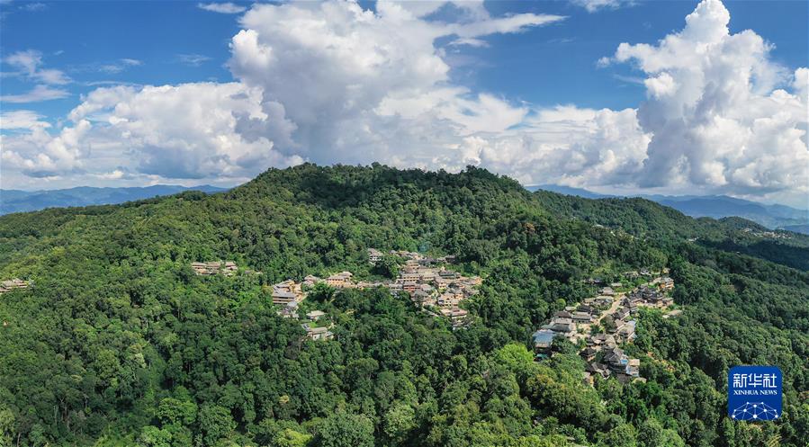 （社會(huì )）（1）&ldquo;普洱景邁山古茶林文化景觀(guān)&rdquo;成功申遺