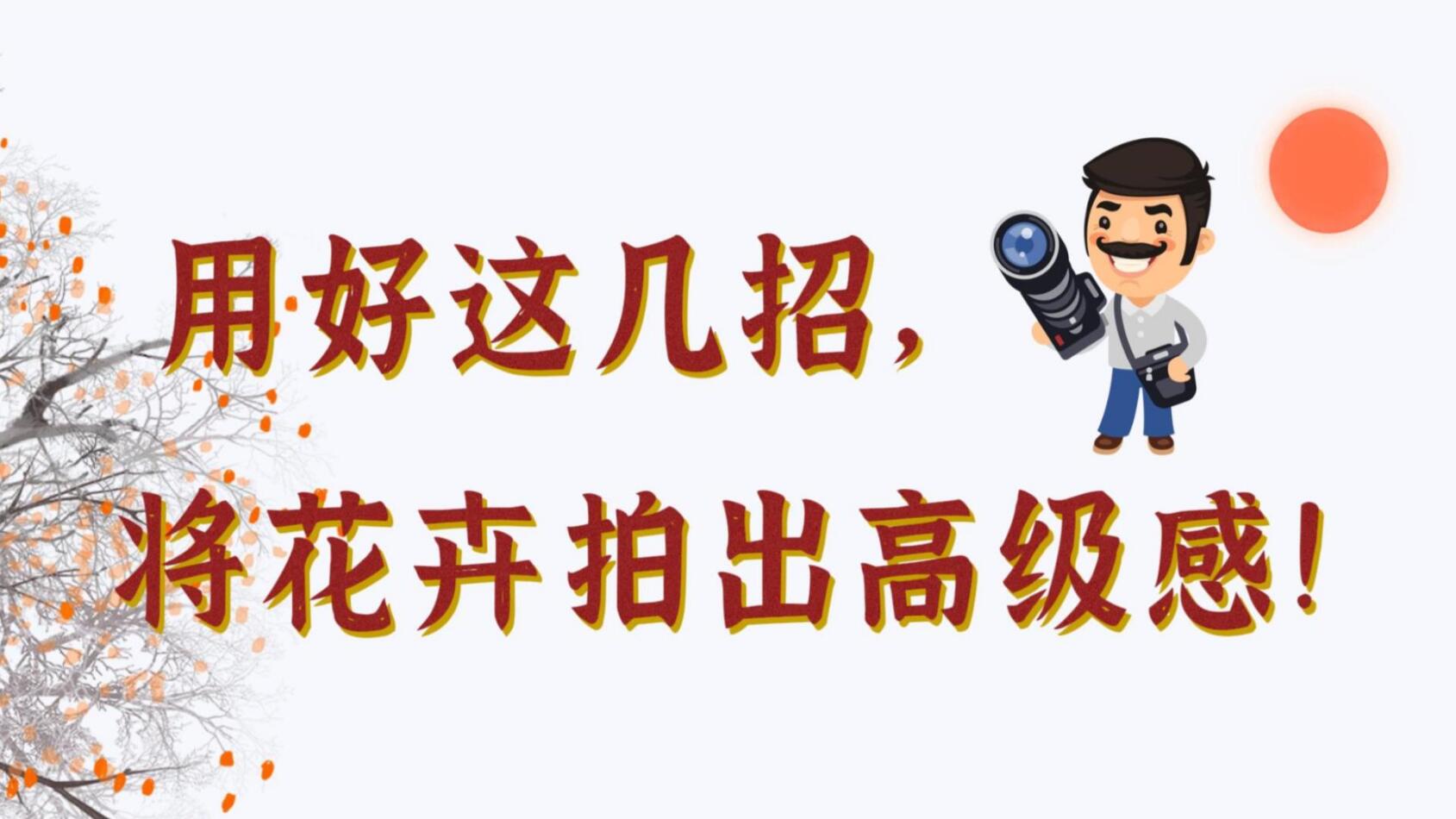 【光影輕課堂】用好這幾招，將花卉拍出高級感！