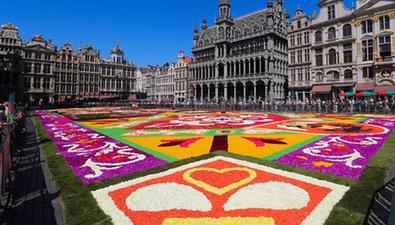 比利時(shí)布魯塞爾舉行第22屆&ldquo;鮮花地毯&rdquo;節