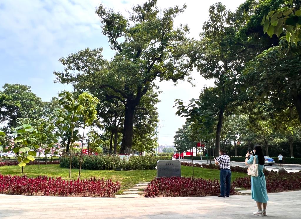 焦裕祿精神，一座永不磨滅的豐碑！