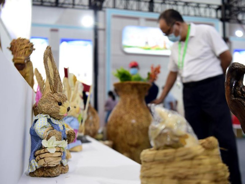 新華全媒+丨秸稈利用 變廢為寶&mdash;&mdash;打卡&ldquo;安徽秸稈博覽會(huì )&rdquo;