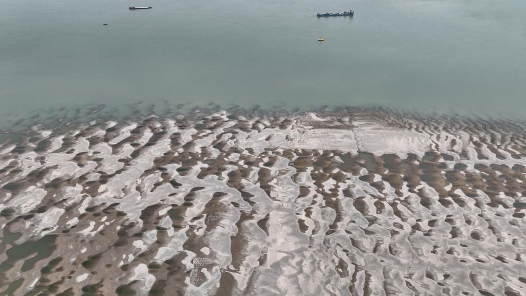 水位持續下降 長(cháng)江九江段露出大片灘涂