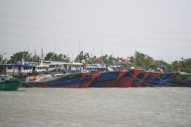 新華全媒+丨臺風(fēng)&ldquo;馬鞍&rdquo;登陸廣東