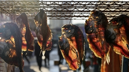 探訪(fǎng)中國東極魚(yú)市