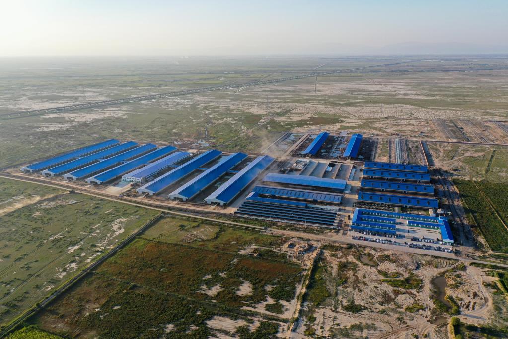 呼和浩特:發(fā)展奶牛養殖 推進(jìn)奶業(yè)振興