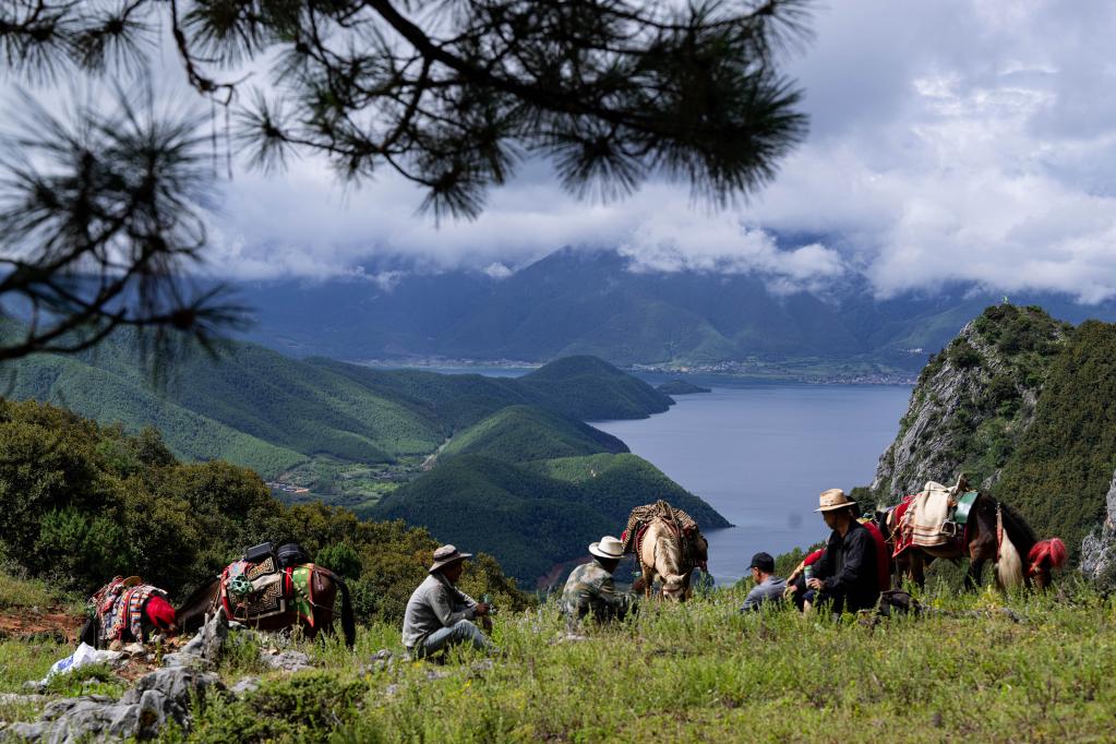 鏡觀(guān)中國&middot;新華社國內新聞?wù)掌恢芫x