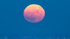 國際&middot;一周看天下