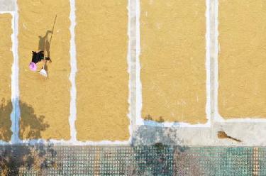 新華全媒+丨搶抓農時(shí)收獲忙