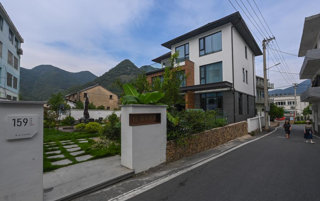 回鄉創(chuàng  )業(yè)助力鄉村振興