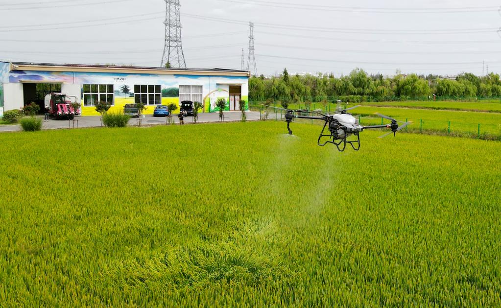 新華全媒+丨滬郊農業(yè)：新技術(shù)助力保豐收