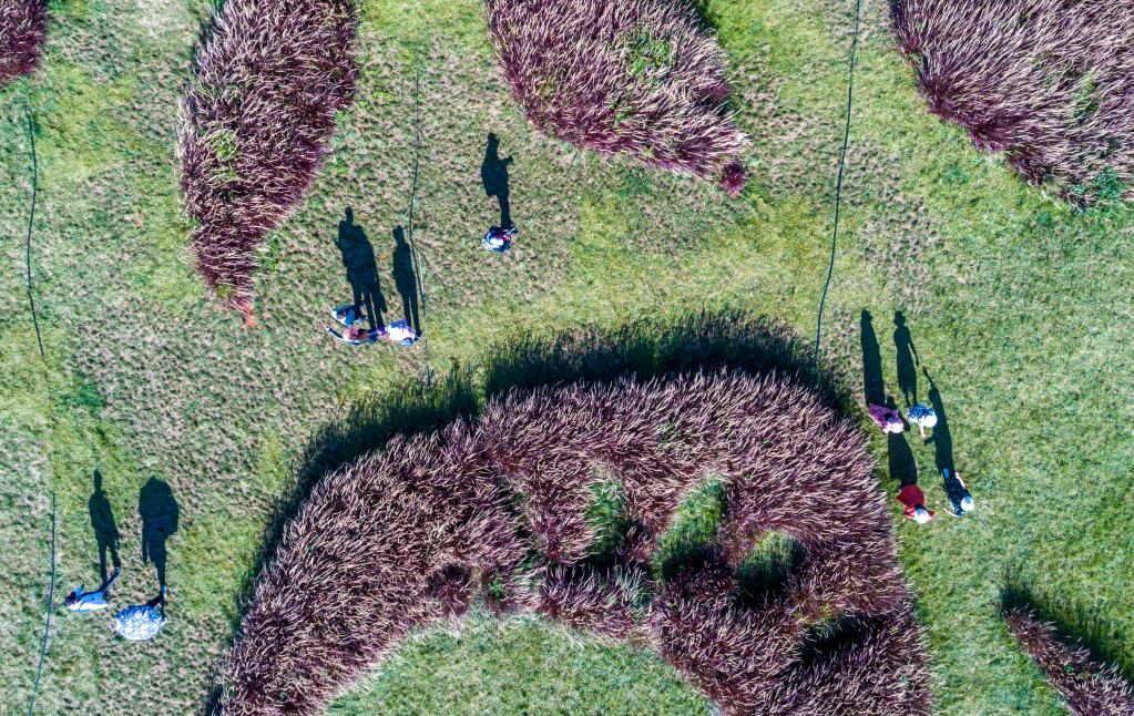 親近自然 樂(lè )享假期