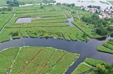 鏡頭里的十年&middot;奔向美好丨雄安，&ldquo;未來(lái)之城&rdquo;拔節生長(cháng)