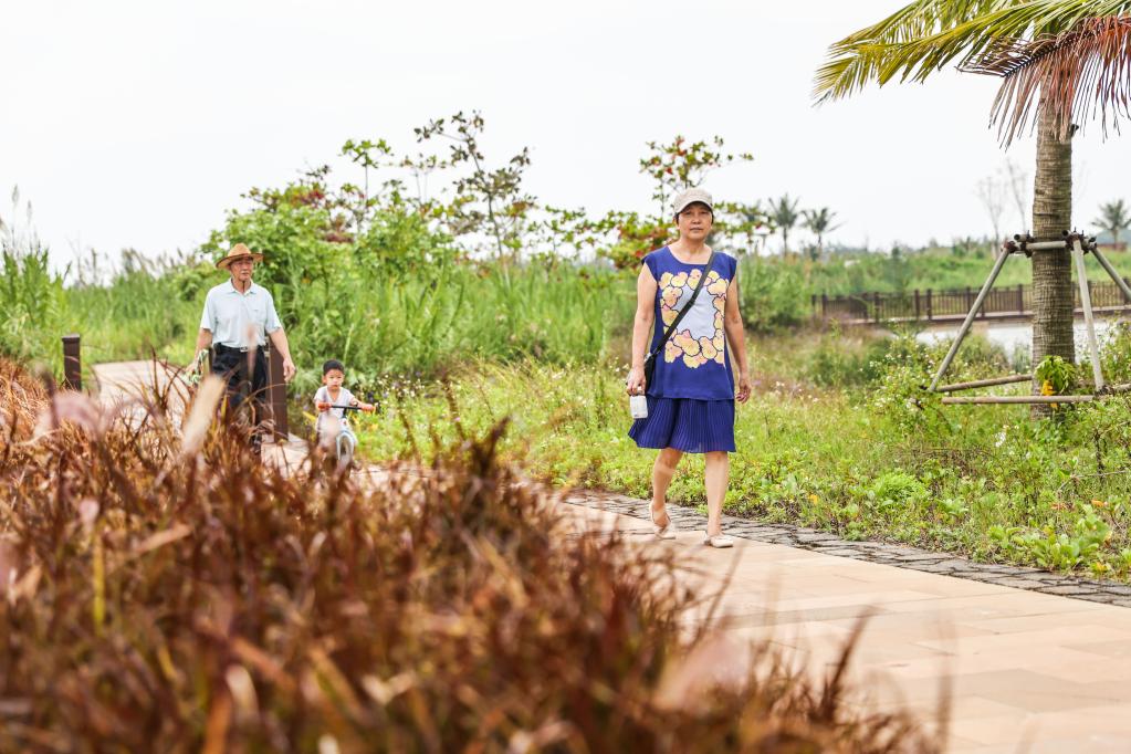 ?？冢汉忧灏毒G的邁雅河濕地公園