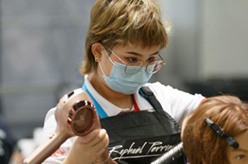 世界技能大賽特別賽芬蘭賽區比賽開(kāi)幕