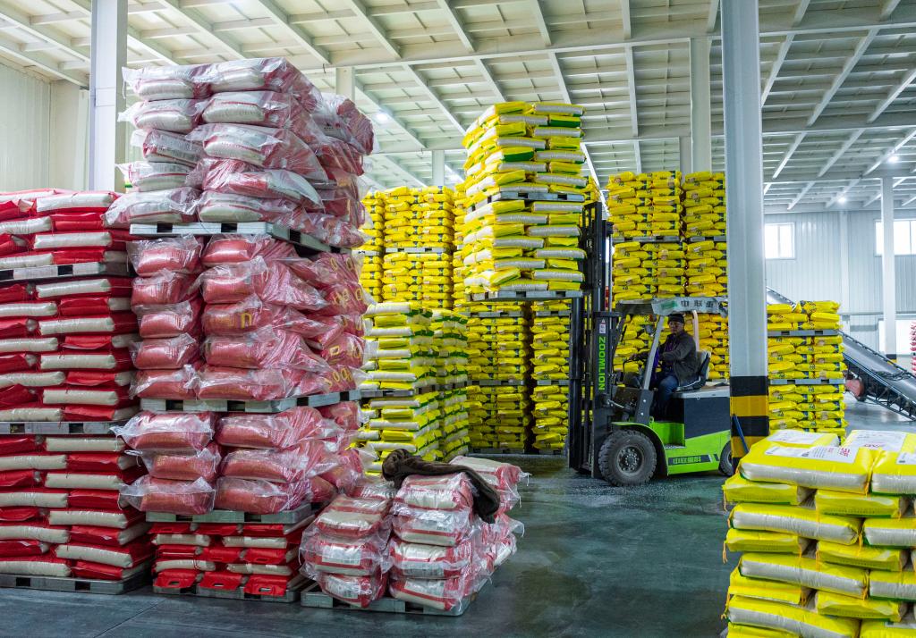 新華全媒+丨產(chǎn)糧第一大省為&ldquo;中國飯碗&rdquo;添米加飯