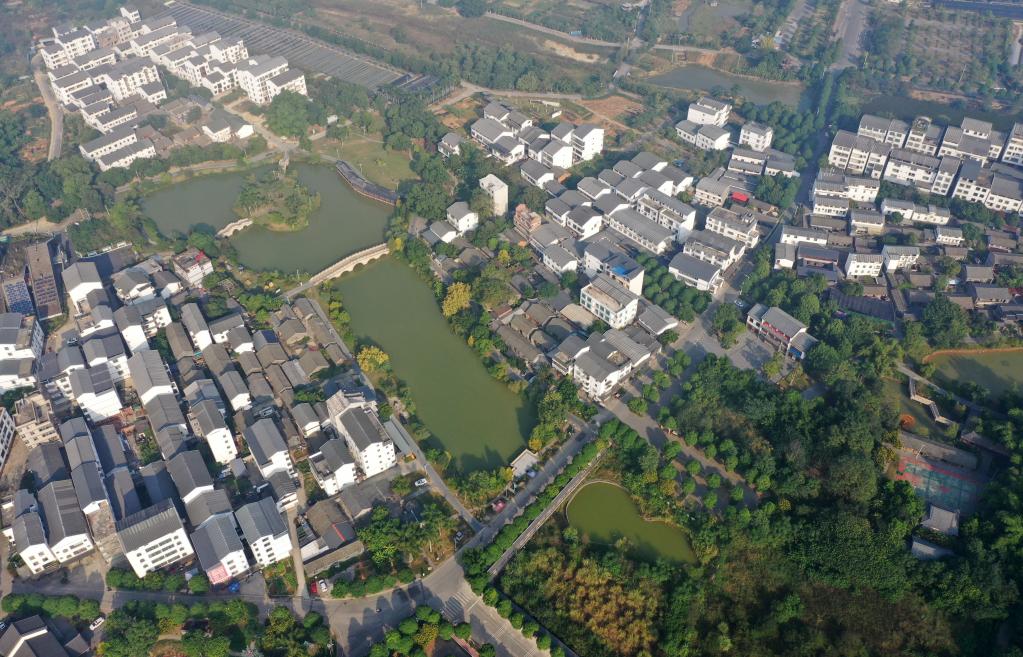 廣西南寧：振興鄉村生態(tài)美