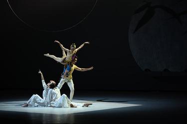 第五屆中國雜技藝術(shù)節開(kāi)幕