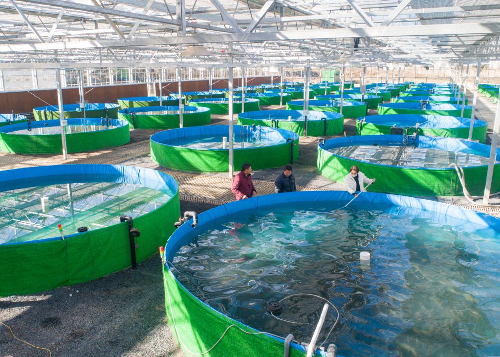 智慧養魚(yú) 致富鄉村