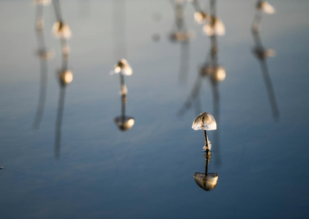 微視界&mdash;&mdash;冬至