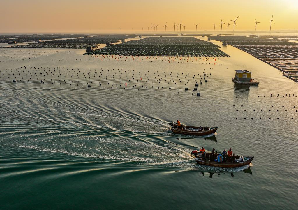 新華全媒+丨元旦假期堅守一線(xiàn)的勞動(dòng)者