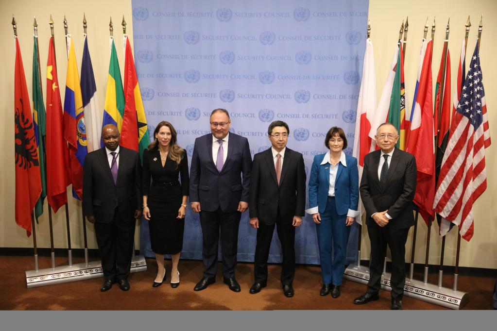 厄瓜多爾等5國開(kāi)始擔任安理會(huì )非常任理事國