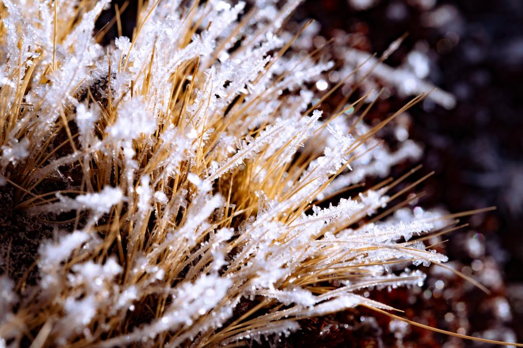 新華全媒+丨微視界&mdash;&mdash;小寒