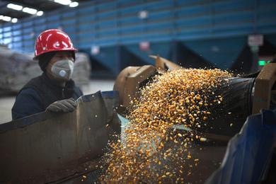 青海剛察：冬日飼草生產(chǎn)忙
