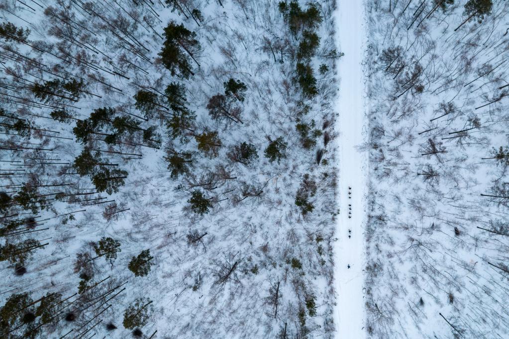 新華全媒+丨&ldquo;失聯(lián)&rdquo;一個(gè)多月，他們在林海守護生態(tài)屏障